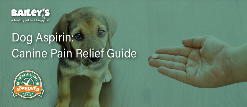 Pain Relief for Dogs: Aspirin Benefits and Risks