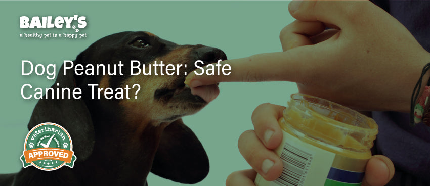 Dog Peanut Butter: Safe Canine Treat? - Featured Banner