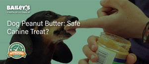 Dog Peanut Butter: Safe Canine Treat? - Featured Banner