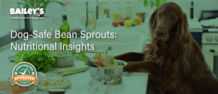 Dog-Safe Bean Sprouts: Nutritional Insights - Featured Banner