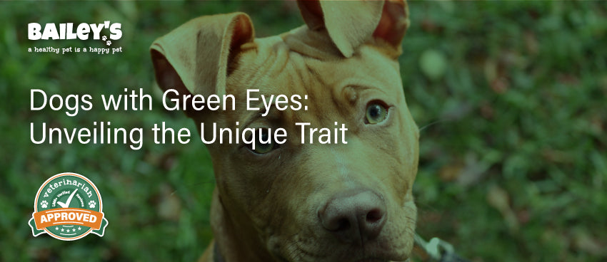 Dogs with Green Eyes: Unveiling the Unique Trait - Featured Banner