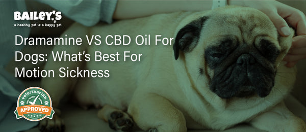 Dramamine VS CBD Oil For Dogs: What's Best For Motion Sickness? - Featured Banner