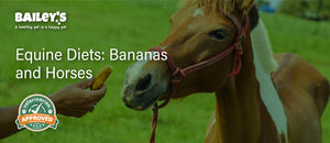 Equine Diets: Bananas and Horses