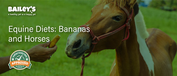 Equine Diets: Bananas and Horses