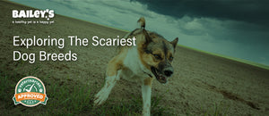 Exploring the Scariest Dog Breeds