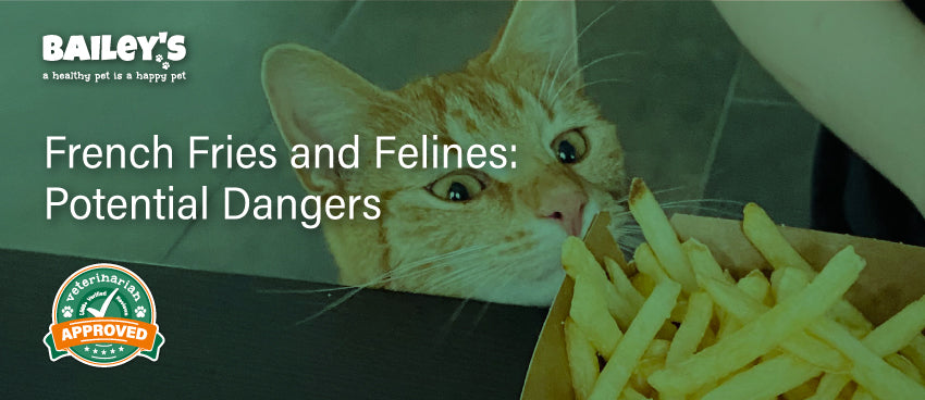 French fries and felines