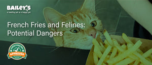 French fries and felines