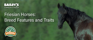 Friesian Horses: Breed Features and Traits - Blog Featured Banner Image