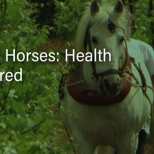 Grapes & Horses: Uncovering Health Risks | Bailey's CBD Blog
