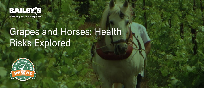 Grapes and Horses: Health Risks Explored - Featured Banner