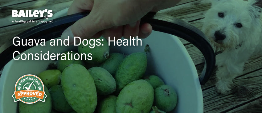 Guava and Dogs: Health Considerations - Featured Banner