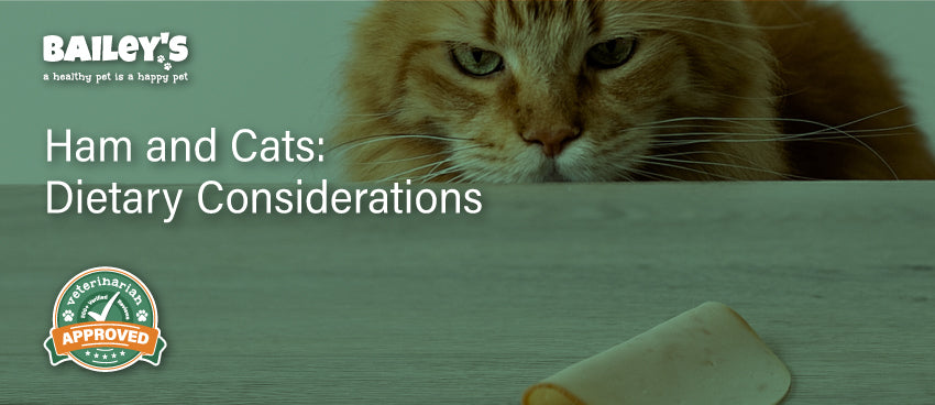 Ham and Cats: Dietary Considerations - Blog Featured Banner Image
