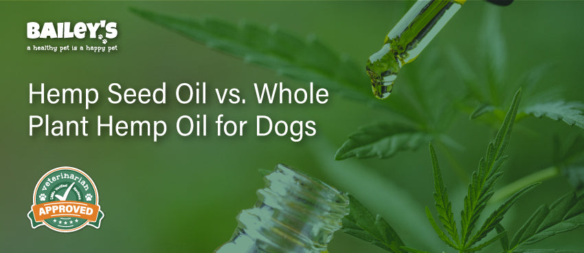 Hemp Seed Oil vs. Whole Plant Hemp Oil for Dogs - Featured Banner