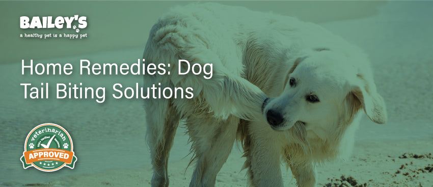 Home Remedies: Dog Tail Biting Solutions - Featured Banner