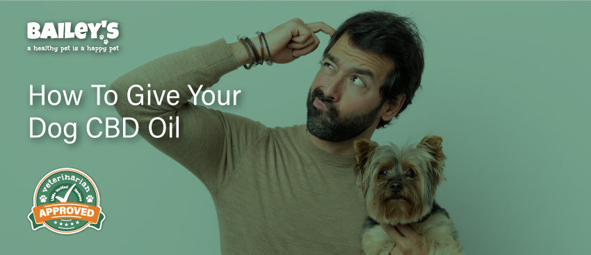 How To Give Your Dog CBD Oil - Featured Banner