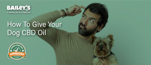 How To Give Your Dog CBD Oil - Featured Banner