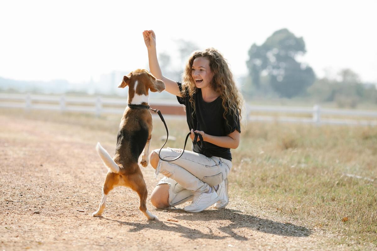 How to Train a Stubborn Dog: Tips for Different Breeds