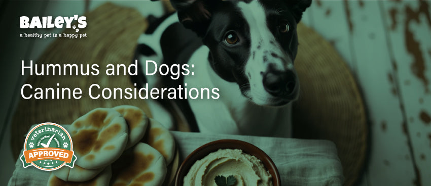 Hummus and Dogs: Canine Considerations - Featured Banner