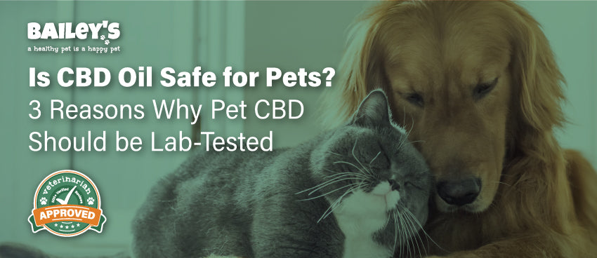 Is CBD Oil Safe For Pets? 3 Reasons Why Pet CBD Should Be Lab-Tested - Featured Banner