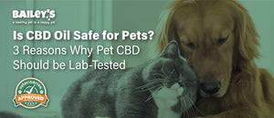 Is CBD Oil Safe For Pets? 3 Reasons Why Pet CBD Should Be Lab-Tested - Featured Banner