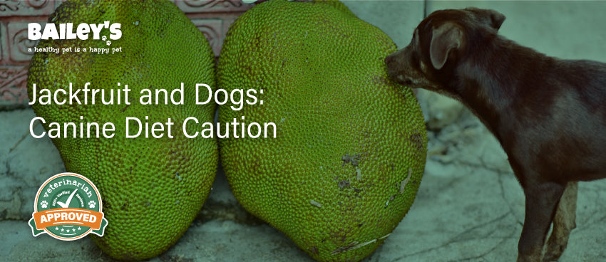 Jackfruit and Dogs: Canine Diet Caution