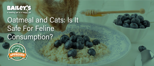 Oatmeal and Cats: Is It Safe for Feline Consumption?