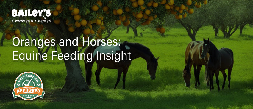 Oranges and Horses: Equine Feeding Insight - Featured Banner