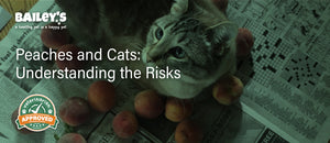 Peaches and Cats: Understanding The Risks - Bailey's CBD Blog Feature Banner Image