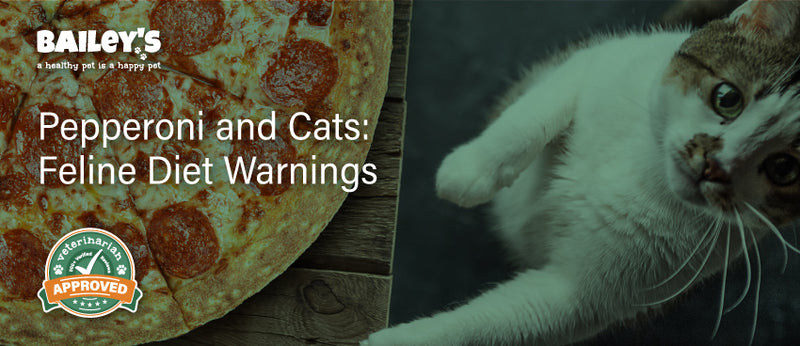 Dietary Safety for Cats: Pepperoni Advice by Bailey&rsquo;s CBD