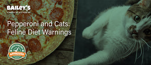 Pepperoni and Cats: Feline Diet Warnings - Featured Banner