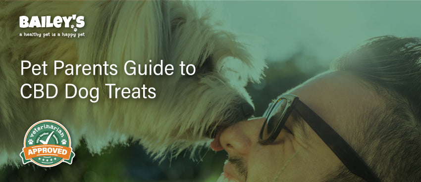 Pet Parents Guide to CBD Dog Treats - Featured Banner