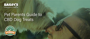 Pet Parents Guide to CBD Dog Treats - Featured Banner