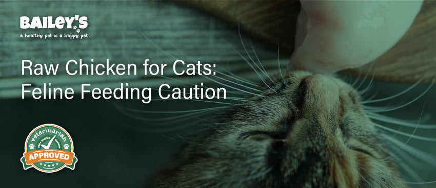 Raw Chicken for Cats: Feline Feeding Caution - Blog Featured Banner Image