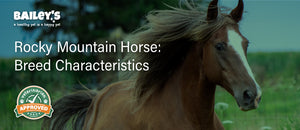 Rocky Mountain Horse: Breed Characteristics