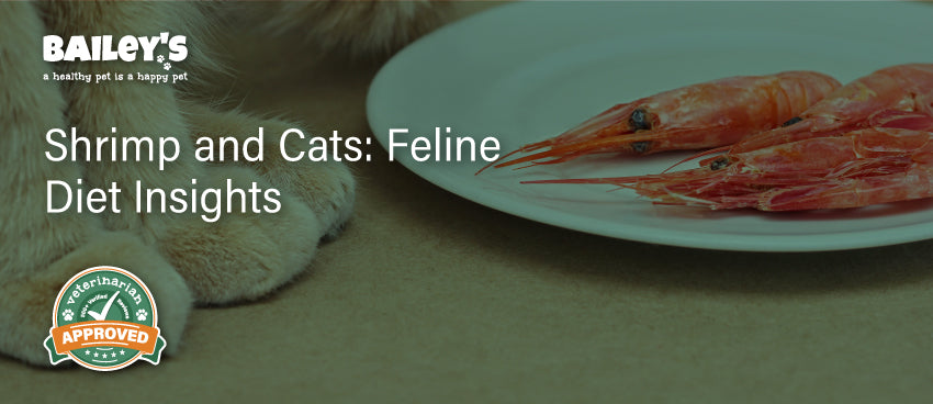 Shrimp and Cats: Feline Diet Insights - Blog Featured Image