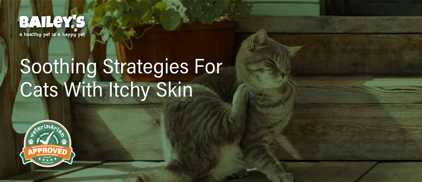 Soothing Strategies for Cats with Itchy Skin