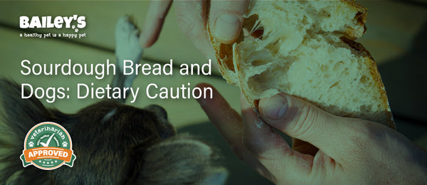 Sourdough Bread and Dogs: Dietary Caution - Featured Banner