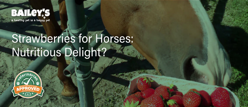 Strawberries for Horses: Nutritious Delight? - Featured Banner