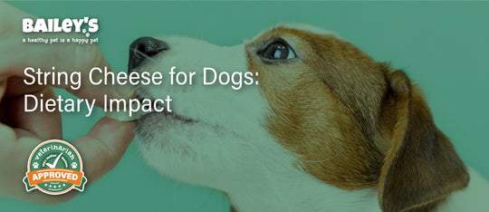 String Cheese for Dogs: Understanding Its Dietary Impact