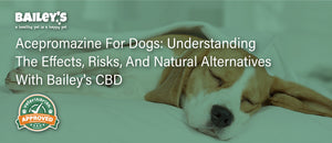 Acepromazine for Dogs: Understanding the Effects, Risks, and Natural Alternatives With Bailey's CBD