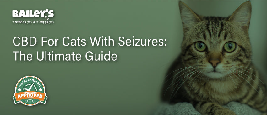 CBD for Cats With Seizures: The Ultimate Guide