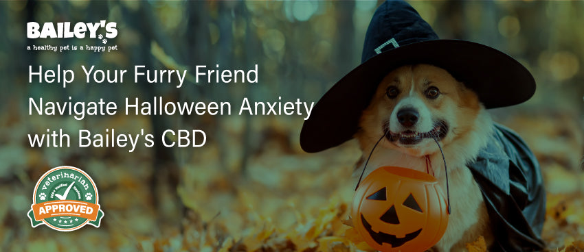 Help Your Furry Friend Navigate Halloween Anxiety With Bailey's CBD