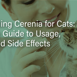 Cerenia for Cats: Usage, Benefits & Side Effects Explained