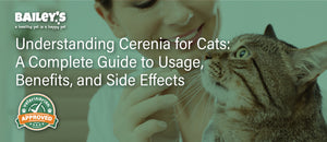 Understanding Cerenia for Cats: A Complete Guide to Usage, Benefits, and Side Effects