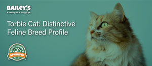 Torbie Cat: Distinctive Feline Breed Profile