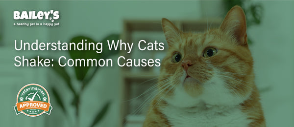 Understanding Why Cats Shake: Common Causes