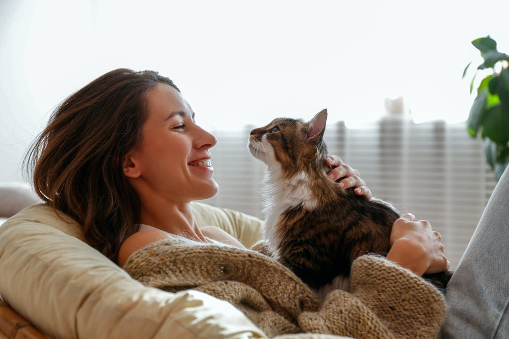 Why Does My Cat Eat My Hair When I Sleep? Causes & Solutions