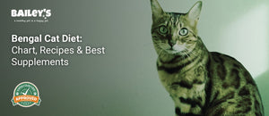 Bengal Cat Diet: Chart, Recipes & Best Supplements - Bailey's CBD featured banner
