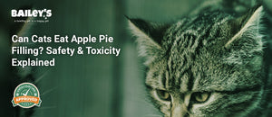 Can Cats Eat Apple Pie Filling? Safety & Toxicity Explained - Bailey's CBD featured banner