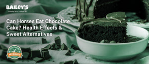 Can Horses Eat Chocolate Cake? Health Effects & Sweet Alternatives - close up of a chocolate cake on a table - Bailey's CBD featured banner